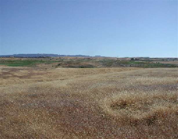 000 TESLA ROAD, LIVERMORE, California 94550, ,Lots And Land,For Sale,TESLA ROAD,40932979