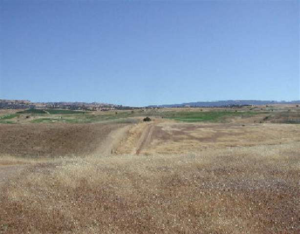 000 TESLA ROAD, LIVERMORE, California 94550, ,Lots And Land,For Sale,TESLA ROAD,40932979