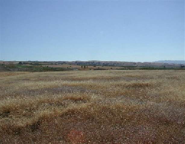 000 TESLA ROAD, LIVERMORE, California 94550, ,Lots And Land,For Sale,TESLA ROAD,40932979