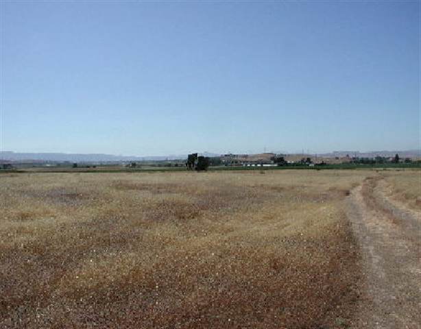 000 TESLA ROAD, LIVERMORE, California 94550, ,Lots And Land,For Sale,TESLA ROAD,40932979