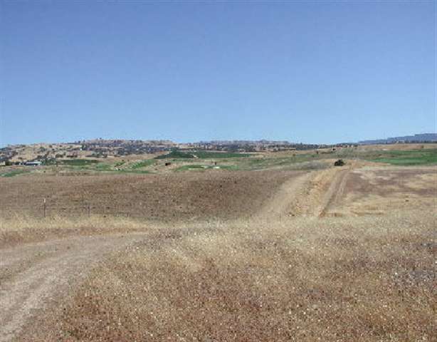 000 TESLA ROAD, LIVERMORE, California 94550, ,Lots And Land,For Sale,TESLA ROAD,40932979
