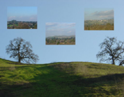 1015 VIA DEL GATO, ALAMO, California 94507-2038, ,Lots And Land,For Sale,VIA DEL GATO,40933024