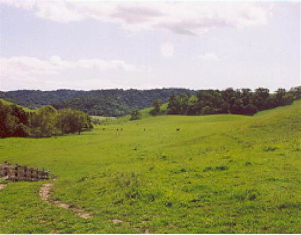 1071 PEREIRA RD, MARTINEZ, California 94553-9758, ,Lots And Land,For Sale,PEREIRA RD,40933028