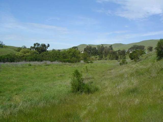 3444 LITTLE VALLEY ROAD, SUNOL, California 94586, ,Lots And Land,For Sale,LITTLE VALLEY ROAD,40933029