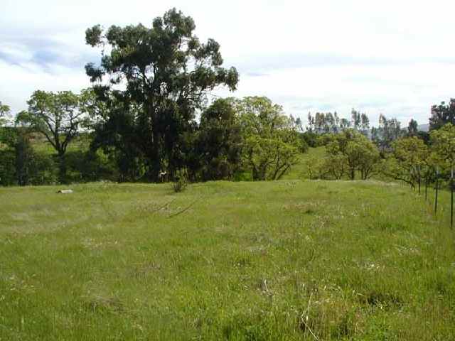 3444 LITTLE VALLEY ROAD, SUNOL, California 94586, ,Lots And Land,For Sale,LITTLE VALLEY ROAD,40933029