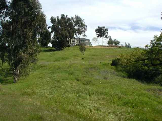 3444 LITTLE VALLEY ROAD, SUNOL, California 94586, ,Lots And Land,For Sale,LITTLE VALLEY ROAD,40933029