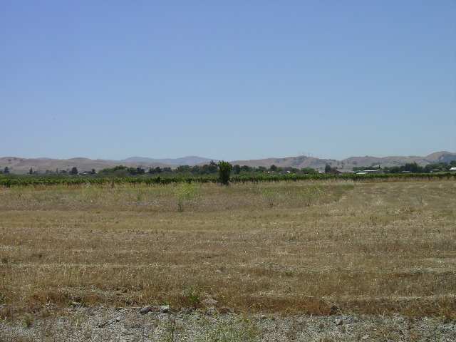 2ACR CONCANNON@WENTE, LIVERMORE, California 94550, ,Lots And Land,For Sale,CONCANNON@WENTE,40933032