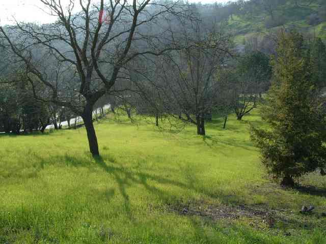 188 CASTLE HILL RANCH RD, WALNUT CREEK, California 94595-2653, ,Lots And Land,For Sale,CASTLE HILL RANCH RD,40933041