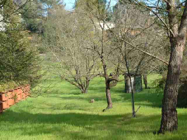 188 CASTLE HILL RANCH RD, WALNUT CREEK, California 94595-2653, ,Lots And Land,For Sale,CASTLE HILL RANCH RD,40933041