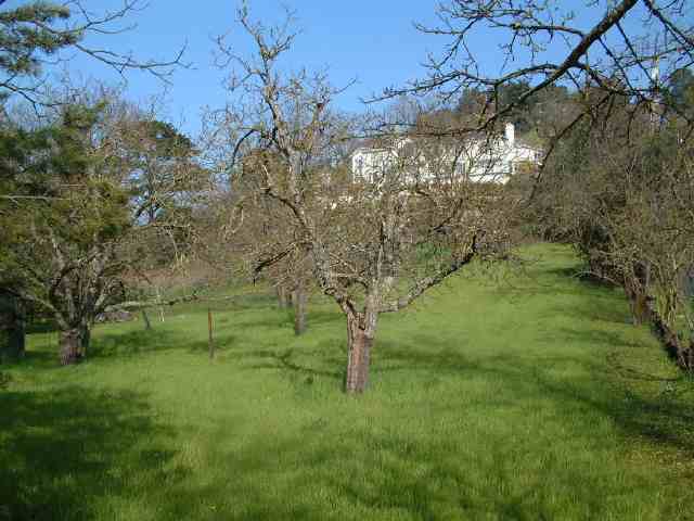 188 CASTLE HILL RANCH RD, WALNUT CREEK, California 94595-2653, ,Lots And Land,For Sale,CASTLE HILL RANCH RD,40933041