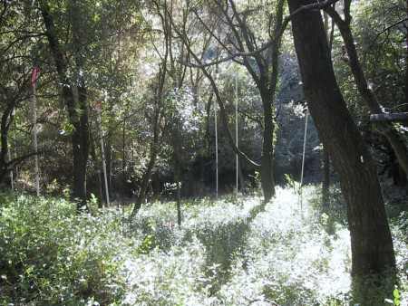 60 LA ESPIRAL, ORINDA, California 94563, ,Lots And Land,For Sale,LA ESPIRAL,40933048