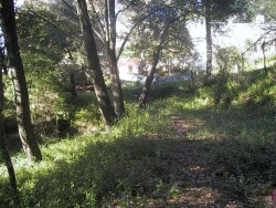 60 LA ESPIRAL, ORINDA, California 94563, ,Lots And Land,For Sale,LA ESPIRAL,40933048