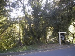 60 LA ESPIRAL, ORINDA, California 94563, ,Lots And Land,For Sale,LA ESPIRAL,40933048