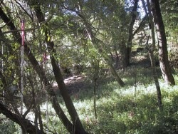60 LA ESPIRAL, ORINDA, California 94563, ,Lots And Land,For Sale,LA ESPIRAL,40933048
