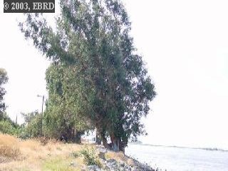 0 BRADFORD ISLAND RD, OAKLEY, California 94561, ,Lots And Land,For Sale,BRADFORD ISLAND RD,40933081