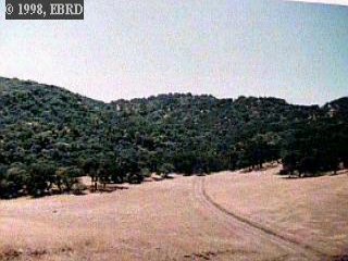0, CLAYTON, California, ,Lots And Land,For Sale,40933223