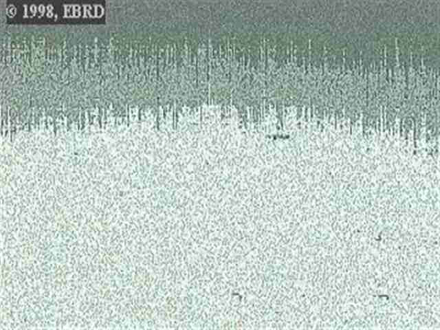 5927 BALBOA DR, OAKLAND, California 94611, ,Lots And Land,For Sale,BALBOA DR,40934355