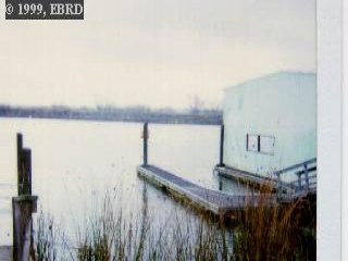 4464 STONE RD, BETHEL ISLAND, California 94511, ,Lots And Land,For Sale,STONE RD,40934506