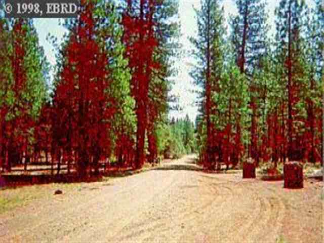 0 RESERVOIR F RD, OTHER - SEE REMARKS, California 96015, ,Lots And Land,For Sale,RESERVOIR F RD,40934521