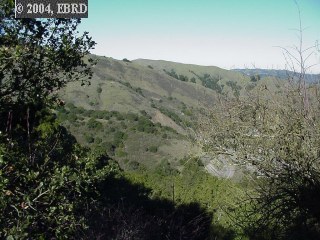 0 WOODMONT WY, OAKLAND, California 94611, ,Lots And Land,For Sale,WOODMONT WY,40934897