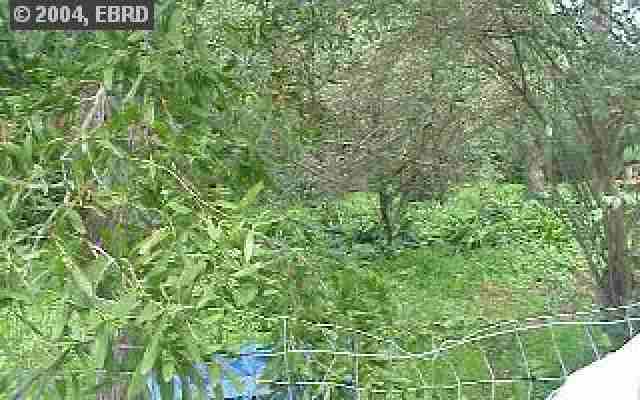 0 GUIDO ST, OAKLAND, California 94602, ,Lots And Land,For Sale,GUIDO ST,40934923