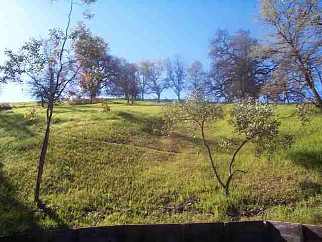 893 Holly Hill Drive Parcel B, WALNUT CREEK, California 94596, ,Lots And Land,For Sale,Holly Hill Drive Parcel B,40934939