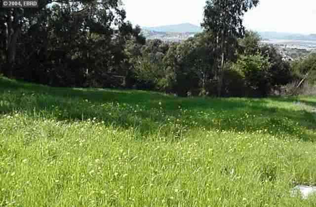 5590 Morrow, SAN PABLO, California 94806, ,Lots And Land,For Sale,Morrow,40935005