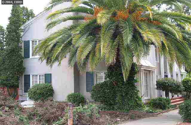 3152 HIGH ST, OAKLAND, California 94619-1810, ,Comm Ri Multi-units 5+,For Sale,HIGH ST,40007796