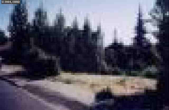 59 Vicente Rd, BERKELEY, California 94705, ,Lots And Land,For Sale,Vicente Rd,40935020