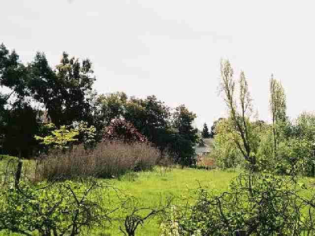 2729 KELLY ST, HAYWARD, California 94541-3404, ,Lots And Land,For Sale,KELLY ST,40935028