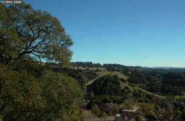 13824 CAMPUS DR, OAKLAND, California 94605-3830, ,Lots And Land,For Sale,CAMPUS DR,40935029