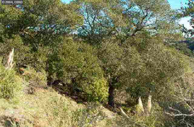 13824 CAMPUS DR, OAKLAND, California 94605-3830, ,Lots And Land,For Sale,CAMPUS DR,40935029