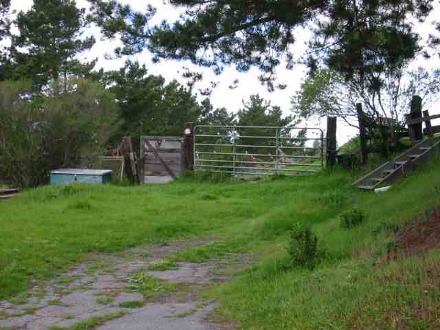 0 LARCH AVENUE, MORAGA, California 94556, ,Lots And Land,For Sale,LARCH AVENUE,40935045