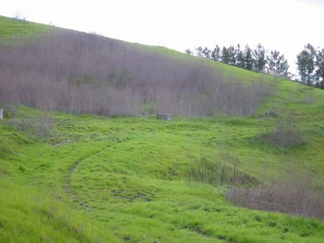 0 LARCH AVENUE, MORAGA, California 94556, ,Lots And Land,For Sale,LARCH AVENUE,40935045