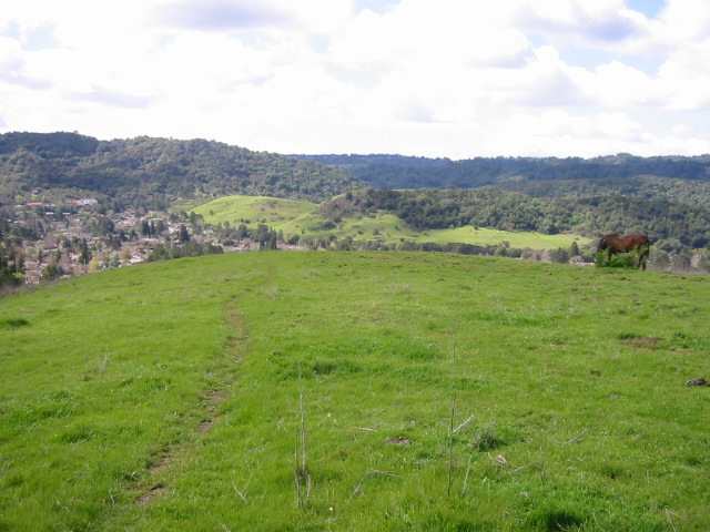 0 LARCH AVENUE, MORAGA, California 94556, ,Lots And Land,For Sale,LARCH AVENUE,40935045