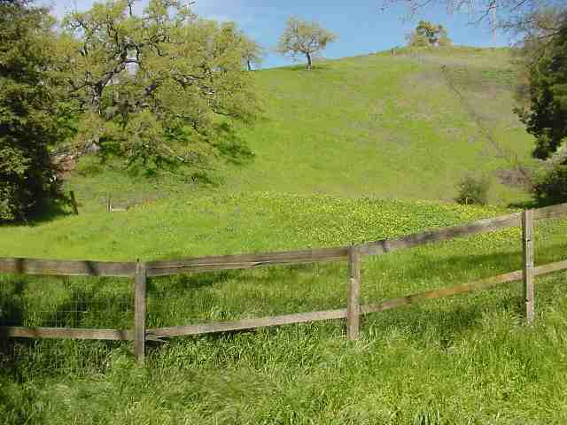 2450 MT DIABLO SCENIC BL, DIABLO, California 94528, ,Lots And Land,For Sale,MT DIABLO SCENIC BL,40935066