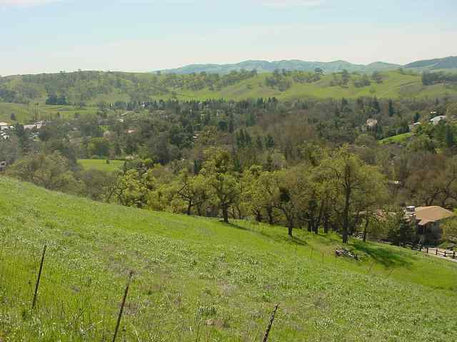 2450 MT DIABLO SCENIC BL, DIABLO, California 94528, ,Lots And Land,For Sale,MT DIABLO SCENIC BL,40935066