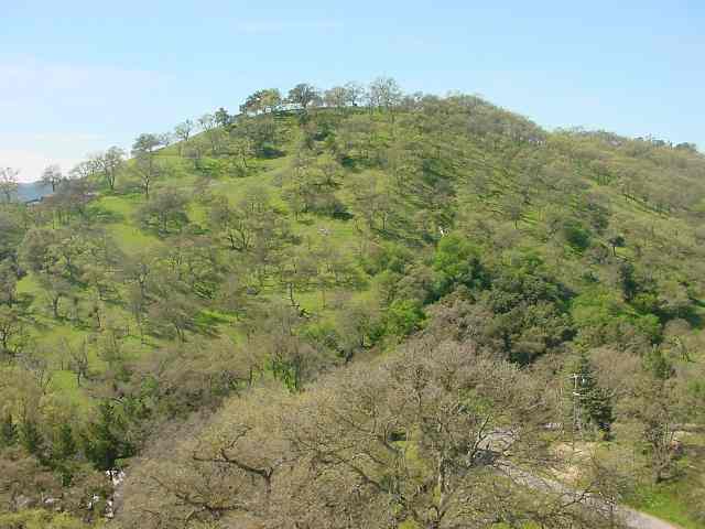 2450 MT DIABLO SCENIC BL, DIABLO, California 94528, ,Lots And Land,For Sale,MT DIABLO SCENIC BL,40935066
