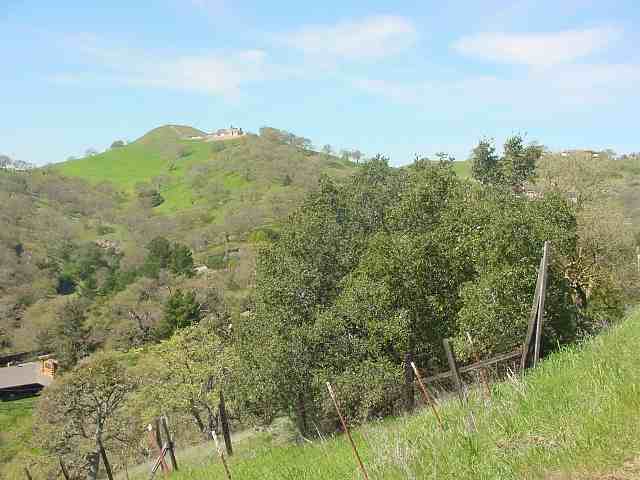 2450 MT DIABLO SCENIC BL, DIABLO, California 94528, ,Lots And Land,For Sale,MT DIABLO SCENIC BL,40935066