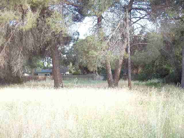 150 MAYHEW WAY, WALNUT CREEK, California 94597-2031, ,Lots And Land,For Sale,MAYHEW WAY,40935081