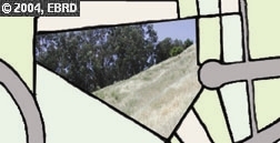 0 PERTH PL, OAKLAND, California 94705, ,Lots And Land,For Sale,PERTH PL,40935089