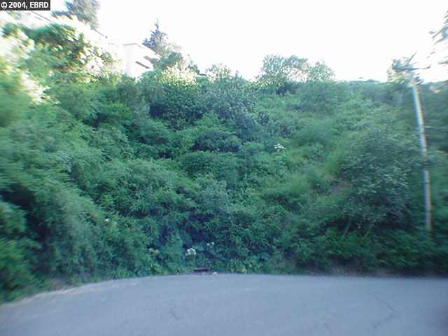 0 Westover Drive, OAKLAND, California 94611-1606, ,Lots And Land,For Sale,Westover Drive,40935102