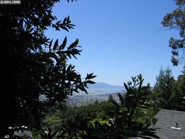 0 GLENDALE AVE, BERKELEY, California 94708, ,Lots And Land,For Sale,GLENDALE AVE,40935105