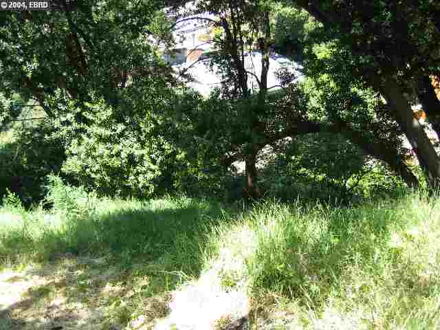 0 GLENDALE AVE, BERKELEY, California 94708, ,Lots And Land,For Sale,GLENDALE AVE,40935105