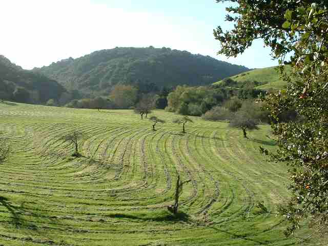 27745 Palomares Rd, CASTRO VALLEY, California 94552, ,Lots And Land,For Sale,Palomares Rd,40935134