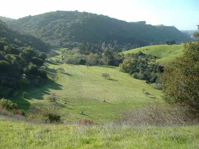 27745 Palomares Rd, CASTRO VALLEY, California 94552, ,Lots And Land,For Sale,Palomares Rd,40935134