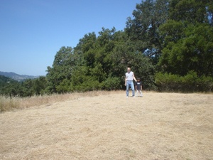 8 WHITE PINE LN, LAFAYETTE, California 94549, ,Lots And Land,For Sale,WHITE PINE LN,40935141