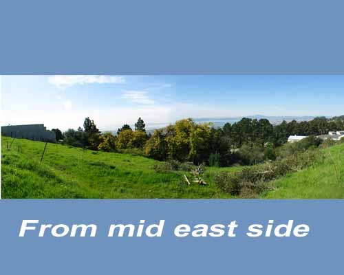 0 Purdue Ave(next to 96), KENSINGTON, California 94708-1031, ,Lots And Land,For Sale,Purdue Ave(next to 96),40935171