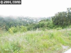 7 Dawn St, OAKLAND, California 94705, ,Lots And Land,For Sale,Dawn St,40935184