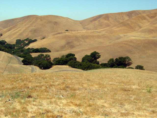 10625 MORGAN TERRITORY RD, LIVERMORE, California 94551, ,Lots And Land,For Sale,MORGAN TERRITORY RD,40935194